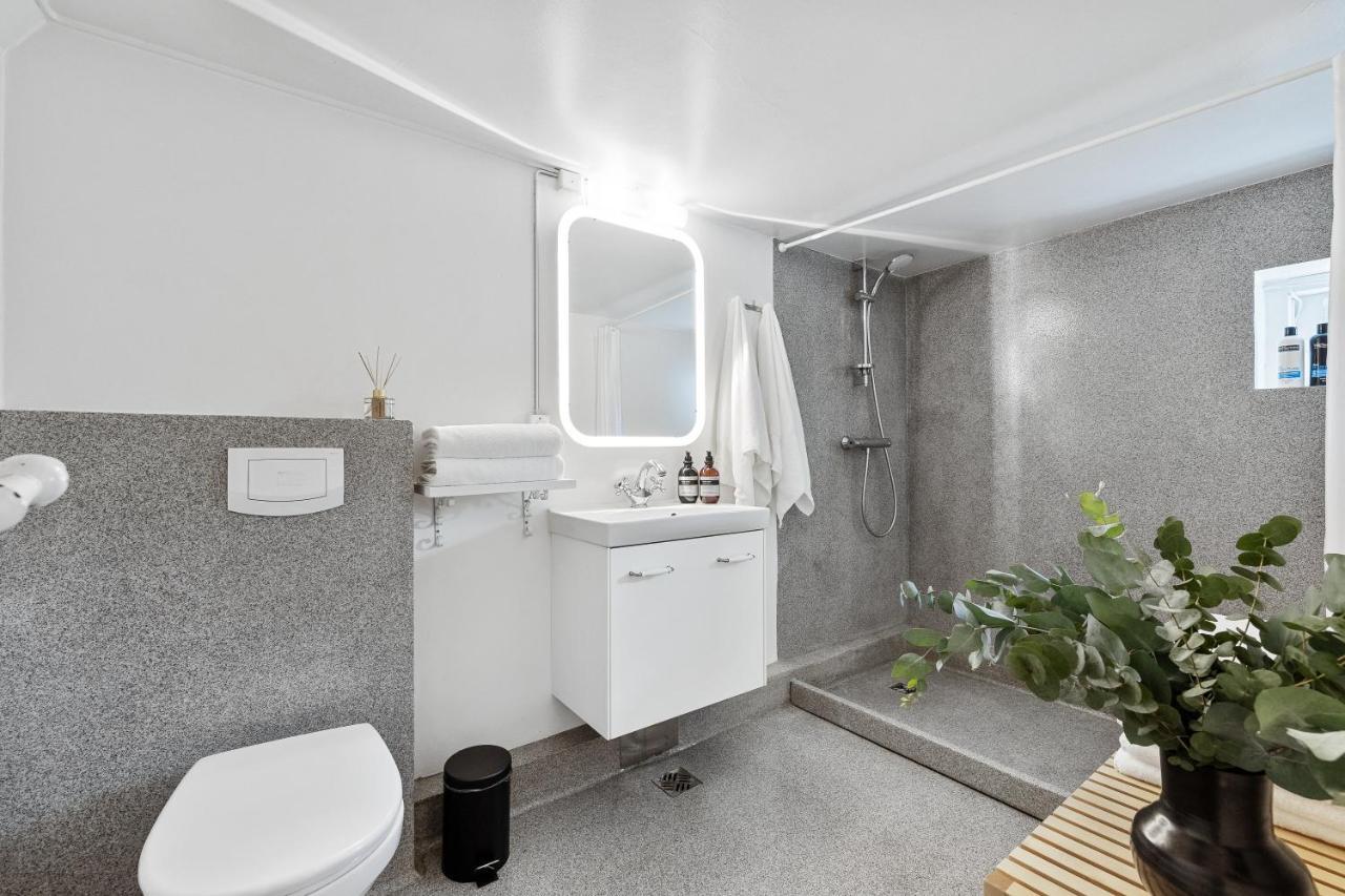 Luxury Villa In Downtown Reykjavik Exterior photo